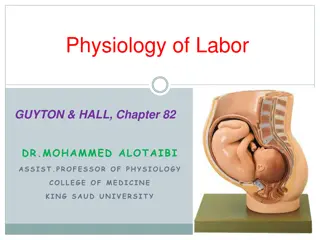 The Physiology of Labor in Pregnancy