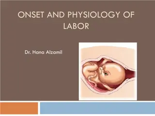 Physiology of Labor: Onset and Key Hormonal Changes