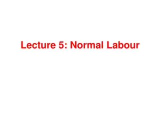 Normal Labour in Pregnancy