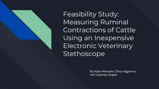 Feasibility Study: Measuring Ruminal Contractions of Cattle Using an Inexpensive Electronic Veterinary Stethoscope