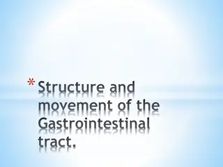 Structure and Movement of the Gastrointestinal Tract