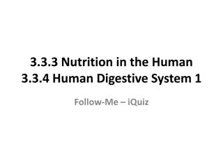 Nutrition and the Human Digestive System