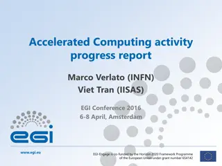 Accelerated Computing Activity Progress Report at EGI Conference 2016