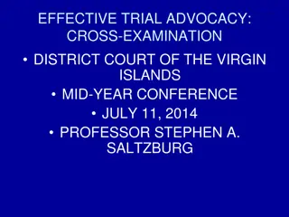 Effective Trial Advocacy: Cross-Examination Strategies by Professor Stephen A. Saltzburg