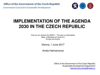 Achieving Sustainable Development Goals in the Czech Republic: Challenges and Strategies