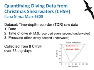 Analysis of Diving Behavior in Christmas Shearwaters