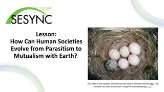 Evolving Human Societies: From Parasitism to Mutualism with Earth