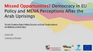 Perceptions and Policy Choices in EU-MENA Relations