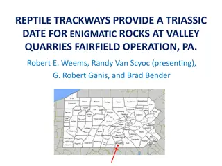 Enigmatic Triassic Rocks and Reptile Trackways in Fairfield, Pennsylvania