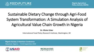 Nigeria Agriculture Policy Activity (NAPA) - Sustainable Dietary Change Through Agri-Food System Transformation