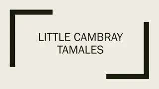 Exploring the Rich History of Tamales