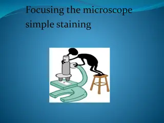 Microscope Focusing and Bacteria Morphology Guide