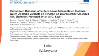 Advancements in Dye-Sensitized Photoelectrochemical Cells