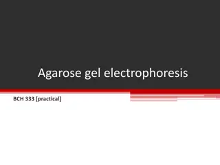 Agarose Gel Electrophoresis in Biochemistry and Molecular Biology