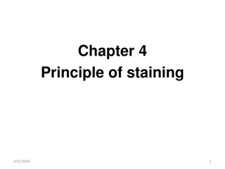 The Principles of Staining in Histopathology