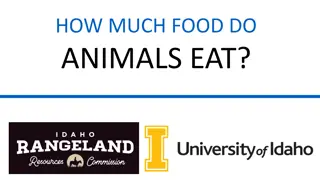 How Much Food Do Animals Eat? Daily Consumption Explained