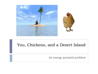 You, Chickens, and a Desert Island: An Energy Pyramid Problem