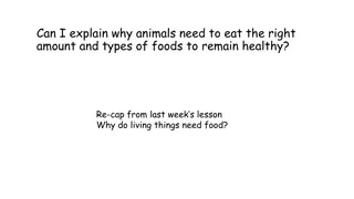 Understanding Animal Dietary Needs for Health