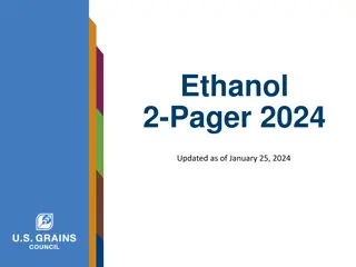 Brazil Ethanol Market Snapshot 2024: Trade and Policy Overview