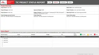 TIC Project Status Report Overview