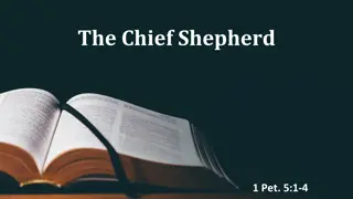 The Chief Shepherd - 1 Peter 5:1-4 Bible Verse Reflections