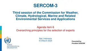 Overarching Principles for Expert Selection in SERCOM Subsidiary Bodies