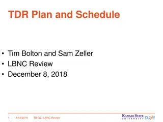 Comprehensive Review of TDR Plan and Schedule for LBNC Concerns