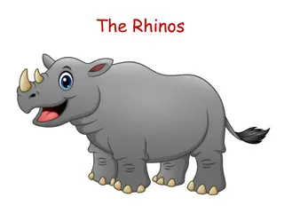 Fun with Rhinos and Weights - Interactive Learning Activities