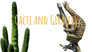 Fascinating Facts about Cacti and Giraffes: A Natural Comparison