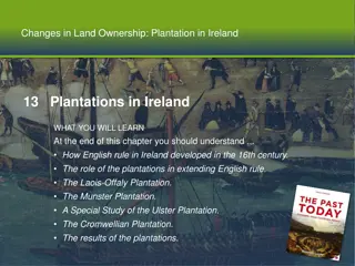 Plantations in Ireland: Development of English Rule in the 16th Century