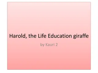 Harold the Life Education Giraffe by Kauri 2 - Images Collection