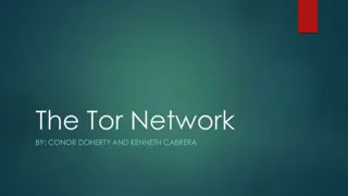 The Tor Network: An In-Depth Overview