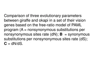 Comparative Analysis of Evolutionary Parameters in Giraffe and Okapi Vision Genes