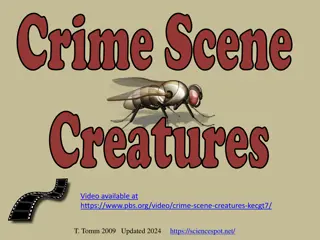 Crime Scene Investigations Through Animal Evidence