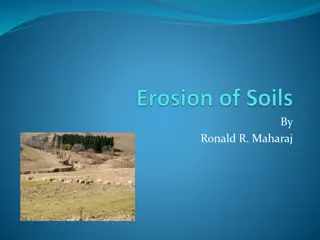 Soil Erosion: Causes, Effects, and Prevention