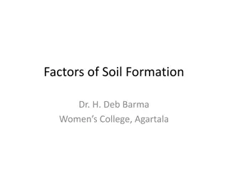 Factors of Soil Formation and Soil Geography