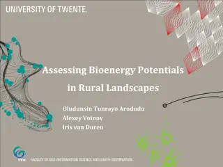 Assessing Bioenergy Potentials in Rural Landscapes: A Holistic Approach