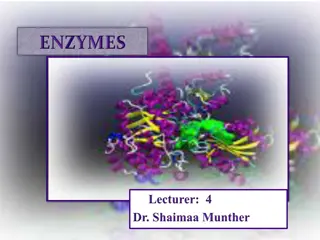 Enzymes: Nature's Biochemical Catalysts