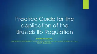 Understanding the Brussels IIb Regulation Practice Guide