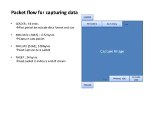 Wireshark Data Capture and UDP Analysis