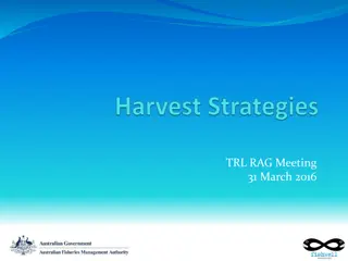 Harvest Strategy and Key Elements for Sustainable Fisheries