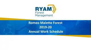 Romeo Malette Forest 2019-20 Annual Work Schedule Overview