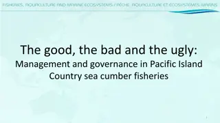 Management and Governance in Pacific Island Sea Cucumber Fisheries