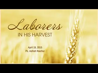 Laborers in the Harvest: A Call to Share the Gospel