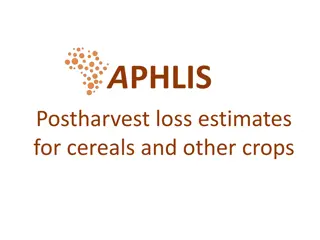 Postharvest Loss Estimates for Cereals and Crops: A Practical Guide