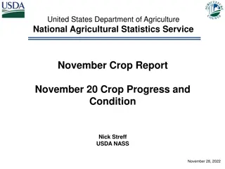 Nebraska Crop Progress and Condition Report: November 2022