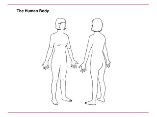 Comprehensive Guide to Human Body Systems, Conditions, and Treatments