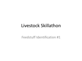 Livestock Skillathon Feedstuff Identification Challenge