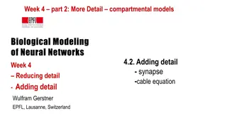 Compartmental Models and Adding Detail in Neural Network Biological Modeling