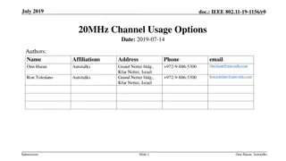 IEEE 802.11-19-1156/r0: 20MHz Channel Usage Options